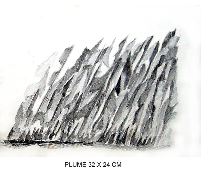 Plume 11